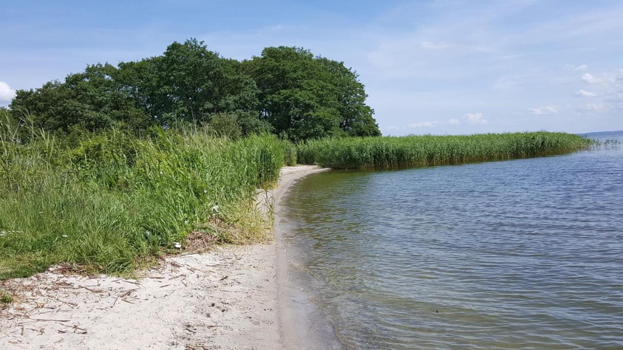 Ferienhaus "Biberburg Am Haff" Garz  Zewnętrze zdjęcie
